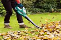 Forget Cables With Bosch’s Gardening Tools