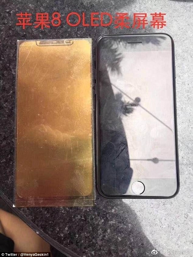 43702F5A00000578 4809682 image a 11 1503327438330 Leaked: iPhone 8 To Launch Mid September
