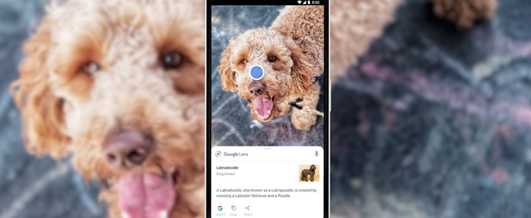 Google Lens Gets Smarter With AI