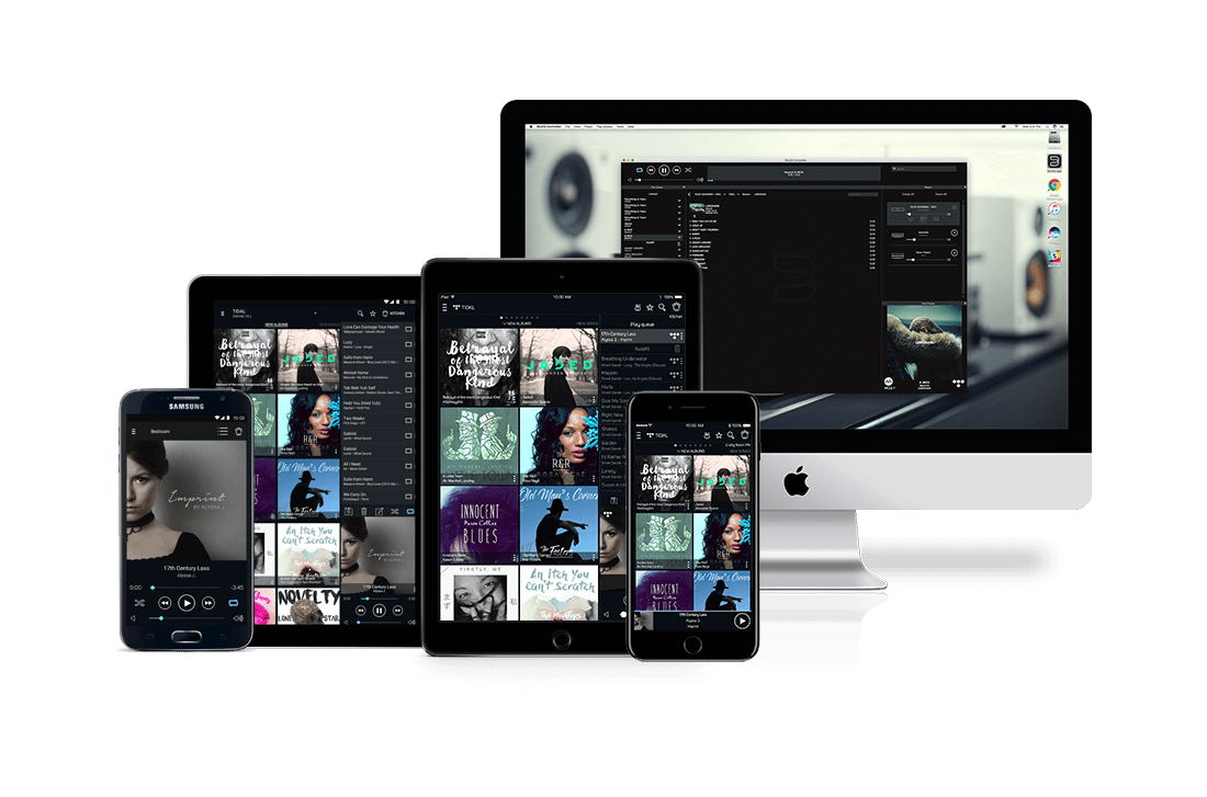 app screens iPhone & iPad Owners To Get Major 24Bit BluOS Audio & Netflix Streaming Update