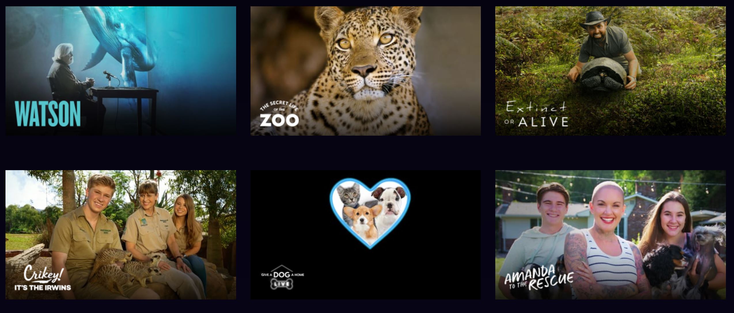 Top 120 + Animal planet channel schedule - Lestwinsonline.com