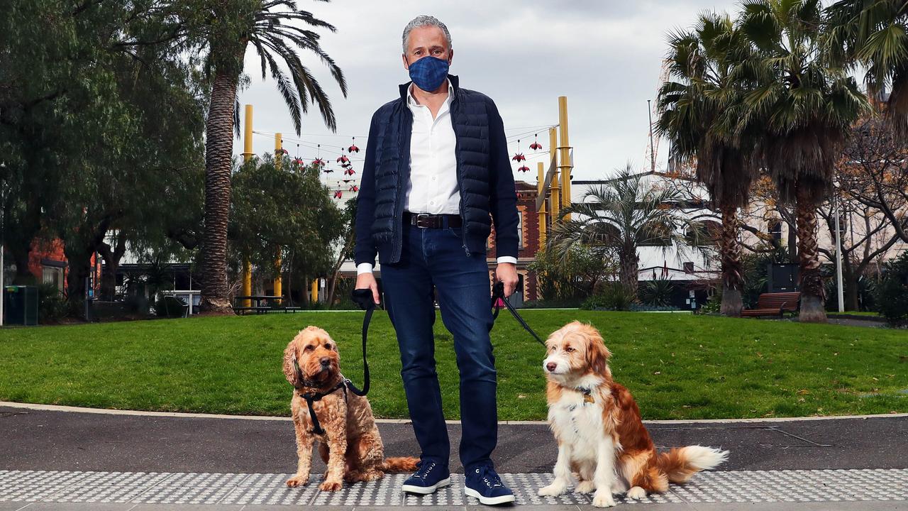 Andy Penn Telstra Telstra Struggles As CEO Tries To Build His Profile Between Two Dogs
