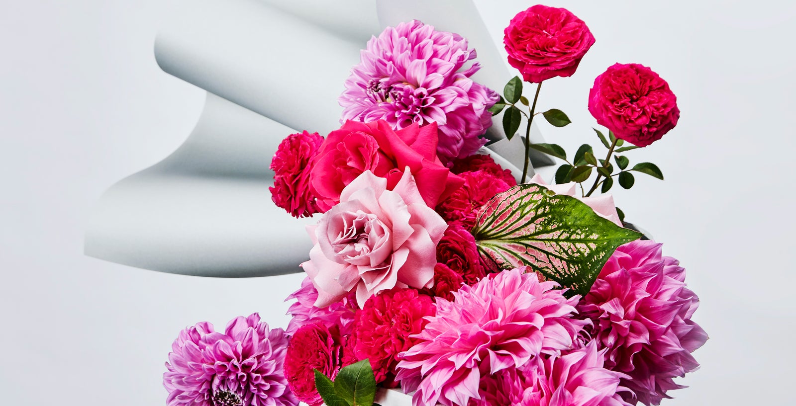 ACCC Says Check Your Valentine’s Day Flowers