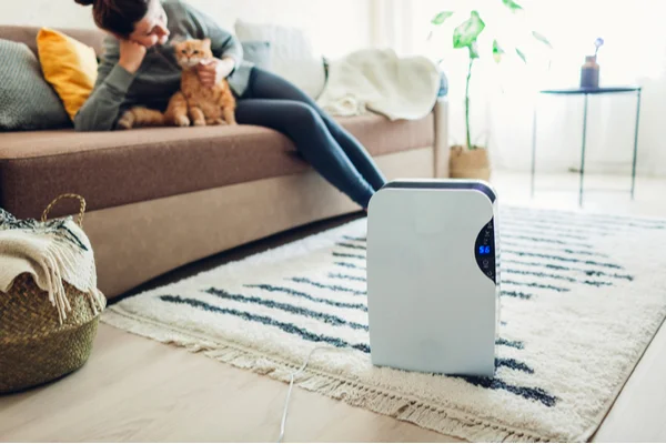 Humid Weather Driving Dehumidifier Sales, Helps With Mould